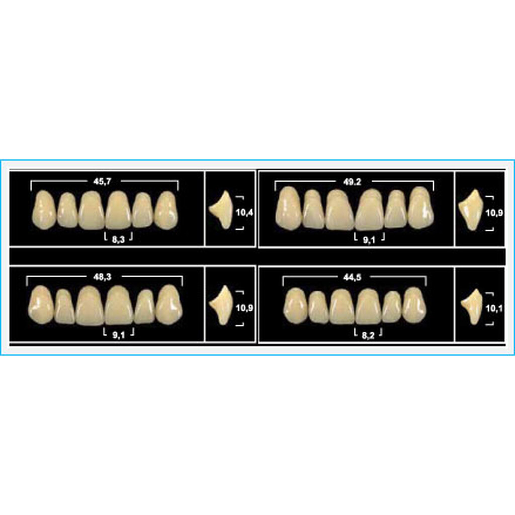 Зубы Yeti D3 LV2 фронт.низ (Tribos) 6шт. По Яну Шунеману Германия 25515