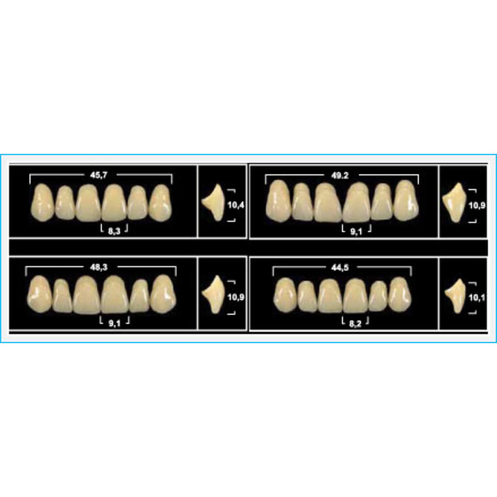 Зубы Yeti D2 L3 фронт.низ (Tribos) 6шт. Германия 25014