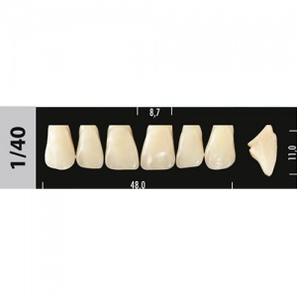 зубы major a2 1/40 фронт.верх, 6 шт (super lux) 96647