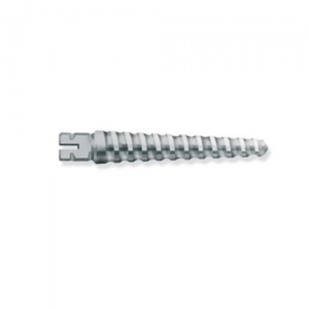 unimetric 310 s чёрные 25 шт, d=1,0мм l=11мм - штифты титановые (c215ts0031000) DENTSPLY C215TS0031000