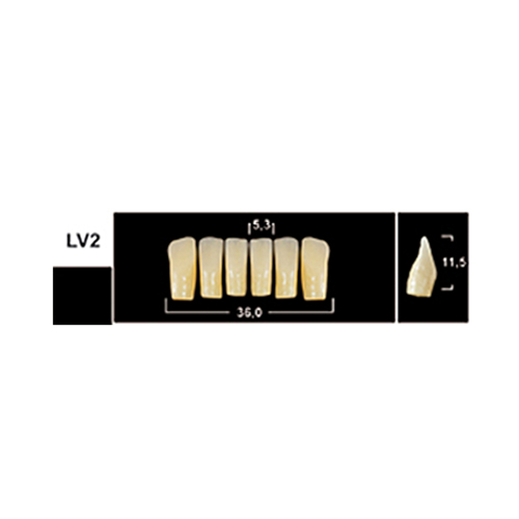 Зубы Yeti A2 LV2 фронт.низ (Tribos) 6шт. По Яну Шунеману Германия 25502