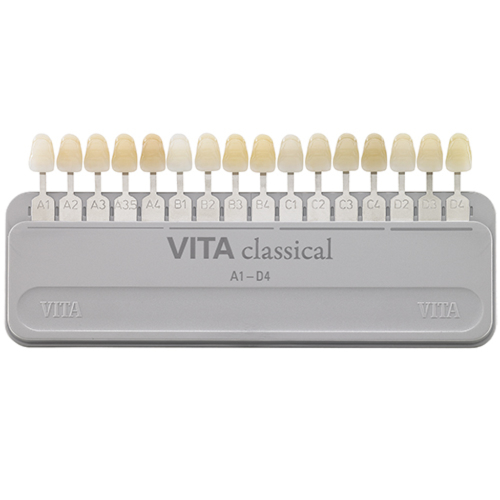 Расцветка VITA classical A1-D4 B027C
