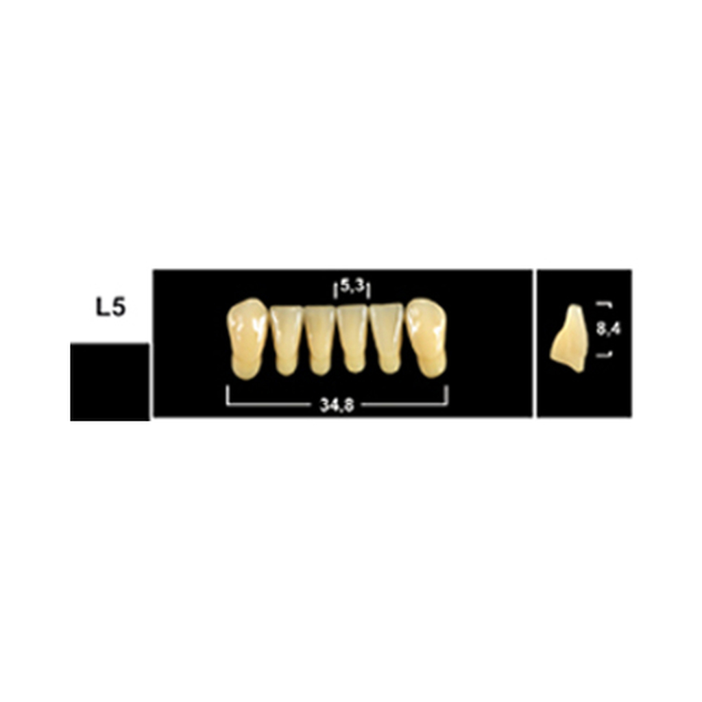 Зубы Yeti A1 L5 фронт.низ (Tribos) 6шт. Германия 25101