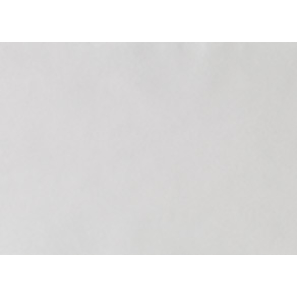 Салфетки автоклавируемые для подносов БЕЛЫЕ 18х28 см (250 шт), EURONDA 0001915619