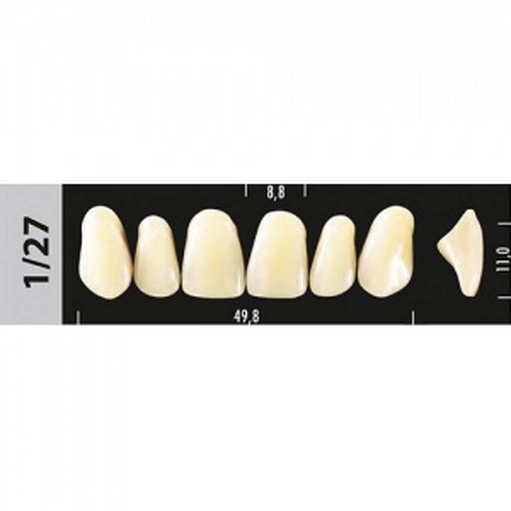 зубы major a2 1/27 фронт.верх, 6 шт (super lux ) 96269