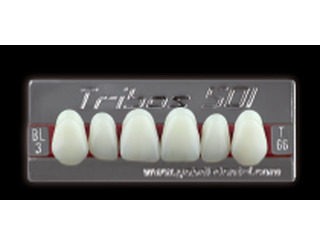 зубы yeti bl3 vt22 фронт.верх (tribos) 6шт. германия 24217