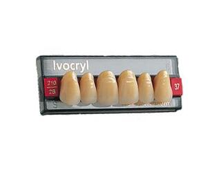 зубы ivocryl набор из 6 зубов chromascop фронт.верх. 26 420 IVOCLAR VIVADENT 539577