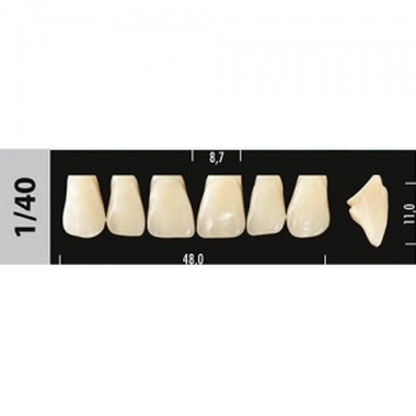 зубы major a2 1/40 фронт.верх, 6 шт (super lux) 96647