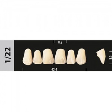 зубы major c2 1/22 фронт.верх, 6 шт (super lux) 96779