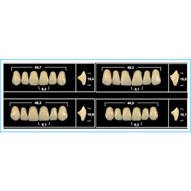 Зубы Yeti A3 VO54 фронтальная группа, верхние (Tribos) 6шт. По Дитеру Шульцу, Германия 28503