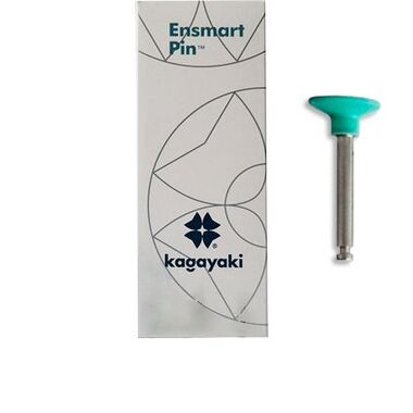 Диск  Ensmart Pin (Энсмарт Пин) зеленый средний, 10шт. на металлической ножке, ENPS 70-2S, Kagayaki