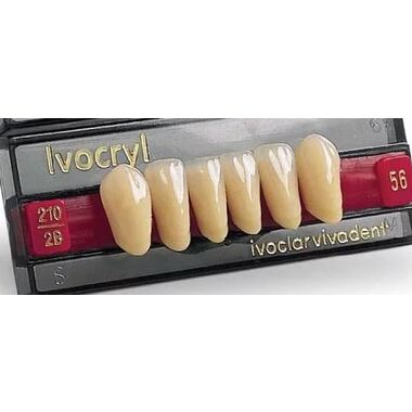 зубы ivocryl набор из 6 зубов a-d фронт.низ. 52 c4 IVOCLAR VIVADENT 630836