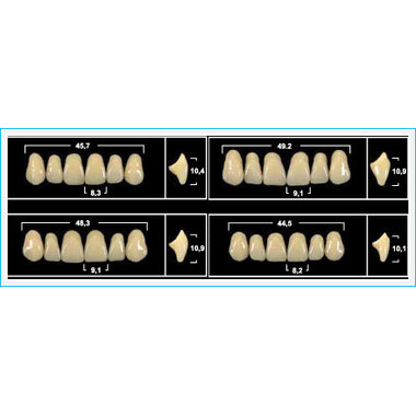 Зубы Yeti A1 SLA жев.низ (Tribos) 8шт. Германия 22101