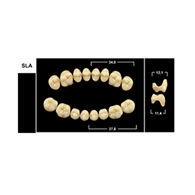 Зубы Yeti A2 SLA жев.низ (Tribos) 8шт. Германия 22102