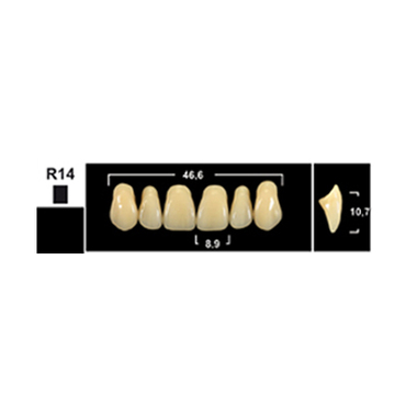 Зубы Yeti A3 R14 фронт.верх (Tribos) 6шт. Германия 23503