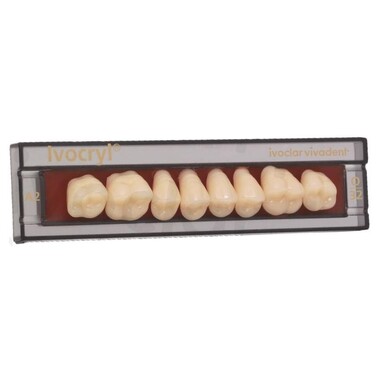 зубы ivocryl набор из 8 зубов a-d жеват.низ. 28 d3 IVOCLAR VIVADENT 630998
