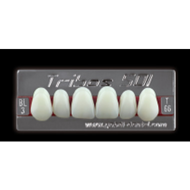 зубы yeti bl3 t76 фронт.верх (tribos) 6шт. германия 23317