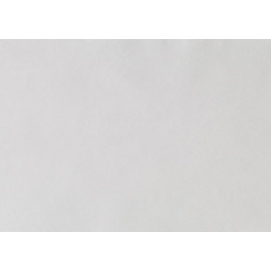 Салфетки автоклавируемые для подносов БЕЛЫЕ 18х28 см (250 шт), EURONDA 0001915619