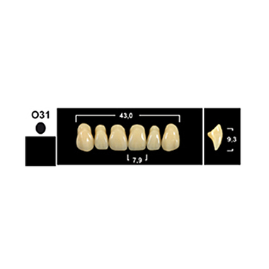 Зубы Yeti A3 O31 фронт.верх (Tribos) 6шт. Германия 23803